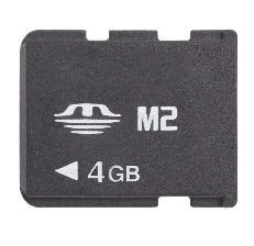 1GB Flash Memory M2 Card