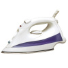 Steam Iron