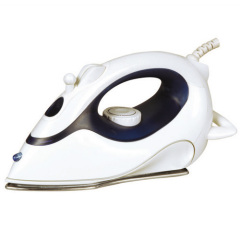 Steam Iron