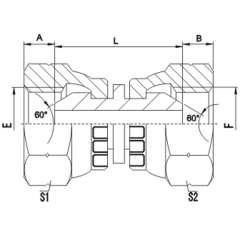 BSP female thread adapter