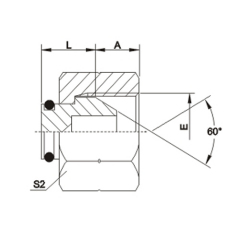 BSP thread  plug