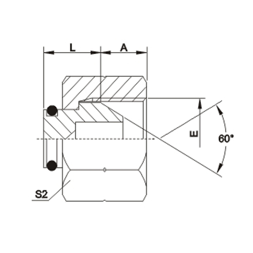 BSP Female 60°Cone Plug