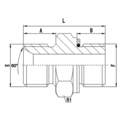 Bsp Male O-Ring