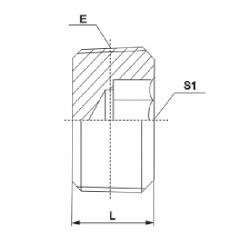 NPT Male Hollow Hex Plug