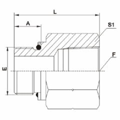 BSP Male O-Ring / Bspt Female