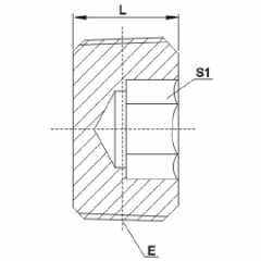 Bspt Male Hollow Hex Plug