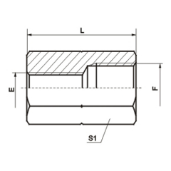 BSP female adapter