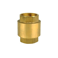 Brass spring check valve