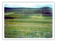 Prairie Fence Wire Mesh