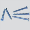 Self Drilling Screw