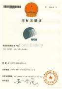 Wuhan  Forte Battery Co.,Ltd.