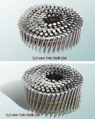 Coil Nail