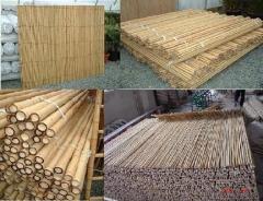 Bamboo Fence