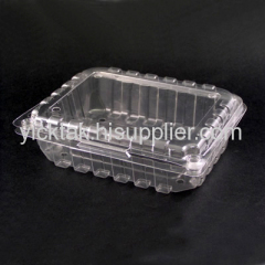 Disposable Plastic Food Container(Fruit Box)