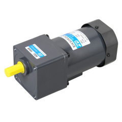 AC adjustable motor