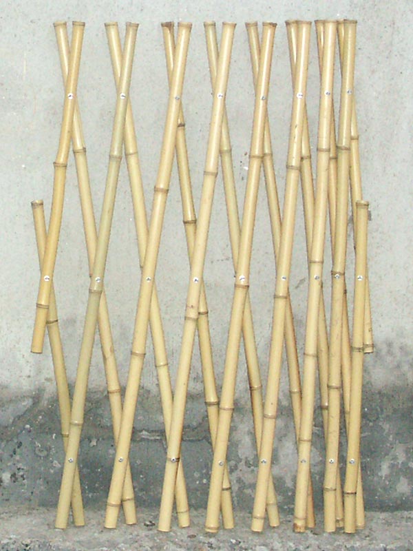 Bamboo Fense