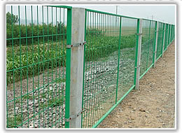 welded wire mesh