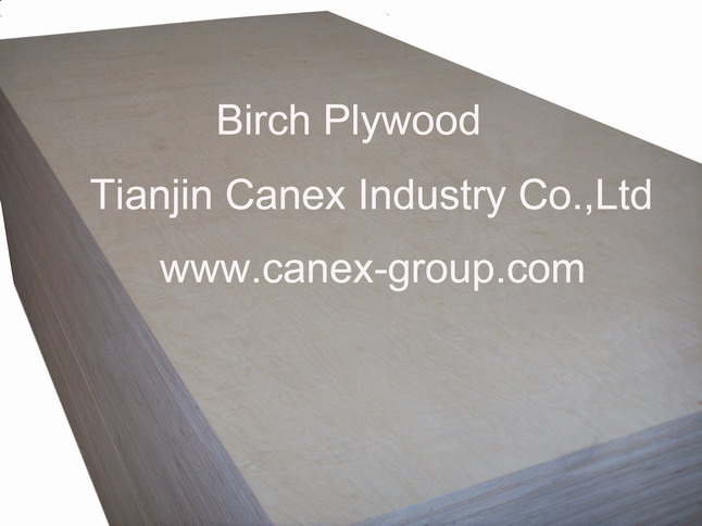 Birch Plywood