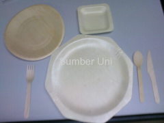 Biodegradable Wooden Cutlery