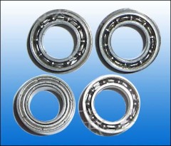 electric motor bearings