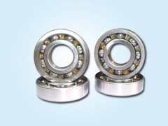 Deep Groove Ball Bearing