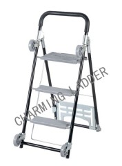 step ladder