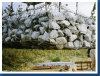 Gabion Mesh