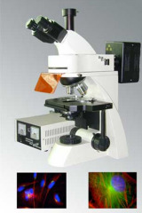 EPI Fluorescent Microscope