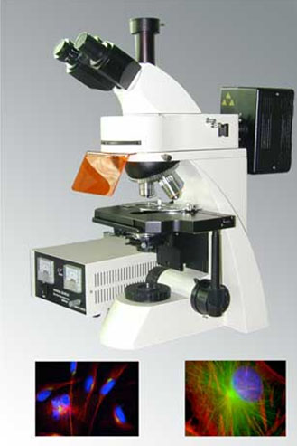 EPI Fluorescent Microscope