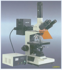 Reflected Fluorescence Microscopes