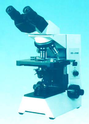 compound light microscope