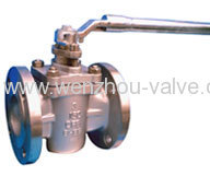 plug valve