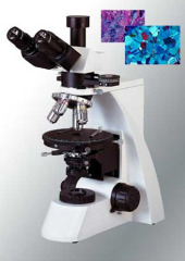 Transmitted Polarization Microscope