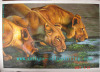 Animal Oil Painting