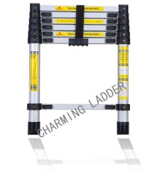 Telestep Telescopic Ladder