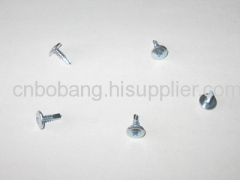 Truss Phillip Drilling Screw