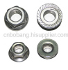 Hex Flange Nut