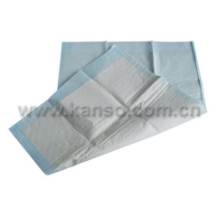 Disposable Pad