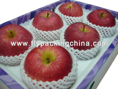 Double Fruit Foam Net