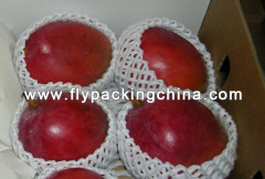 Double Fruit Foam Net