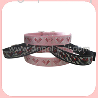 pet safe training collar