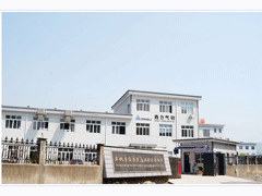 Fenghua Dingli Pneumatic & Hydraulic Co., Ltd.