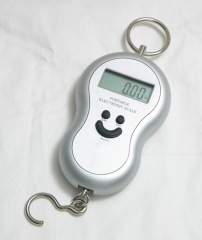 digital scale