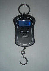 Fishing Scale