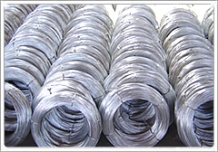 Galvanized Iron  Wire