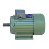 Three Phase Induction Motor