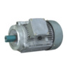 Three Phase Induction Motor