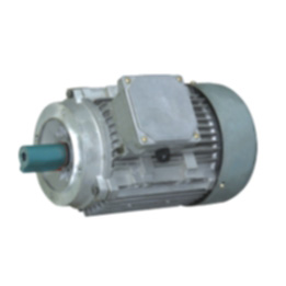 Three Phase Induction Motor