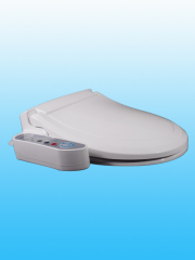 electric heating toilet seat