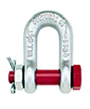 Bolt type shackle